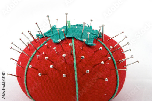 the pincushion