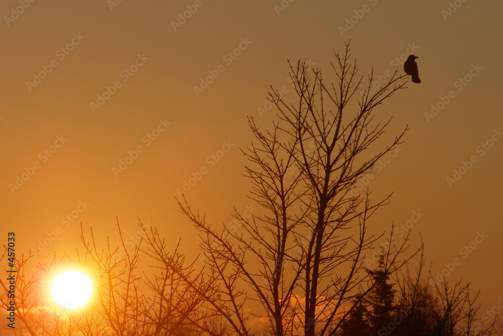 Obraz premium orange sunset