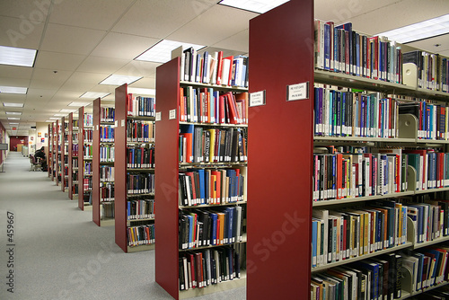 Fototapeta library