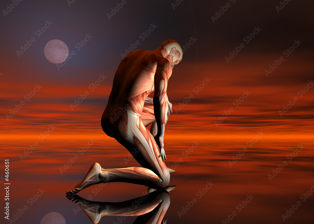 Foto muscles