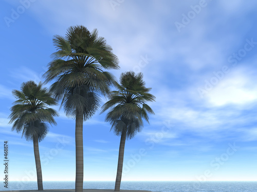 Obraz na plátně sea-line clouds and palms