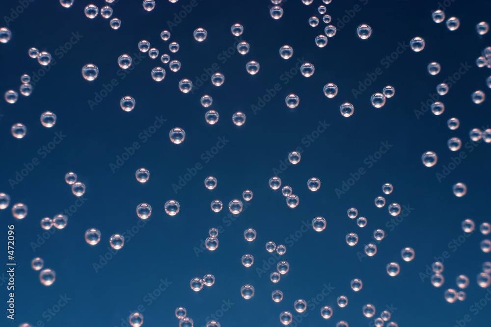 bubbles bubbles