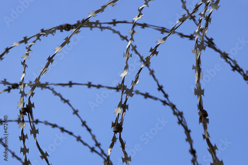 barbed wire and sky