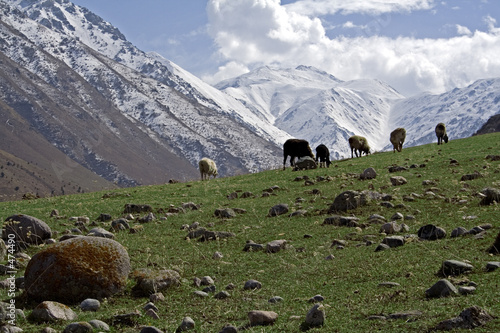 mountan