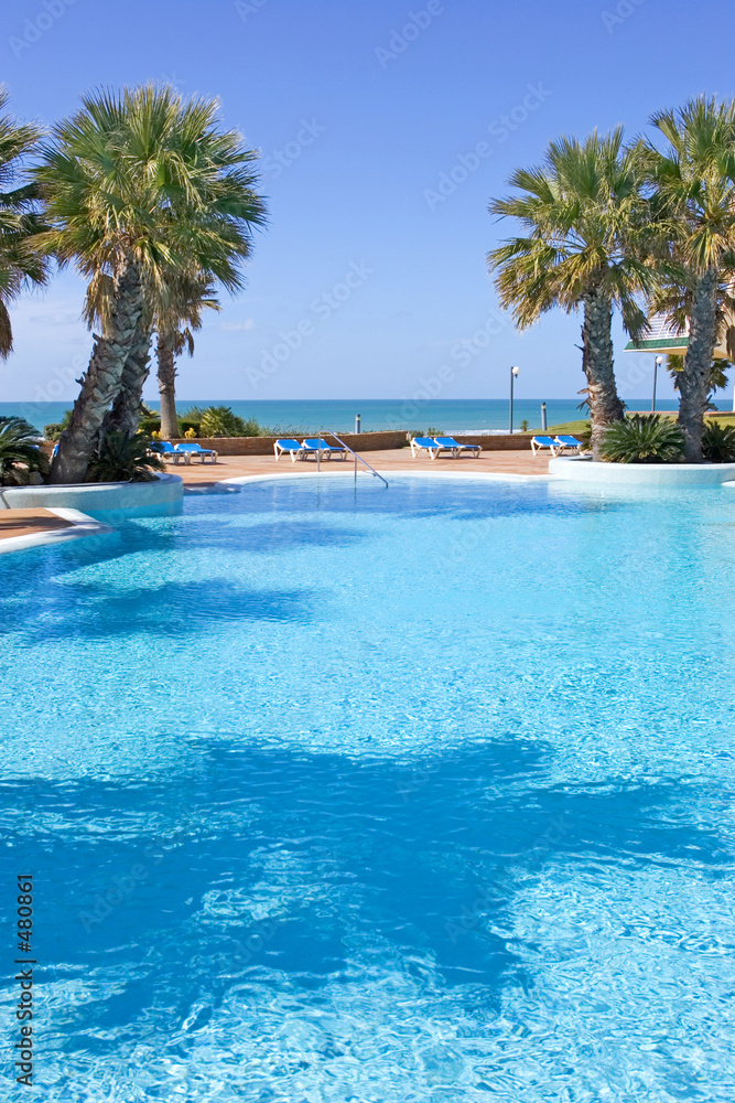swimming pool in spanish hotel with sea views and palm trees