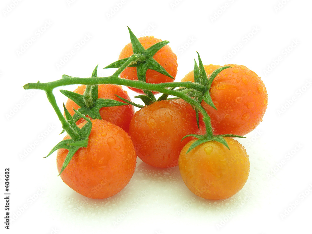 tomates en grappe tomates en grappe