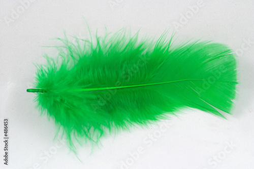 green feather