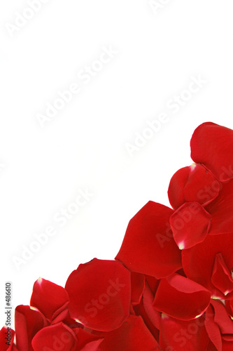 petal frame corner