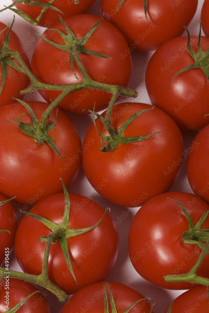 tomato's texturte tomato's texturte