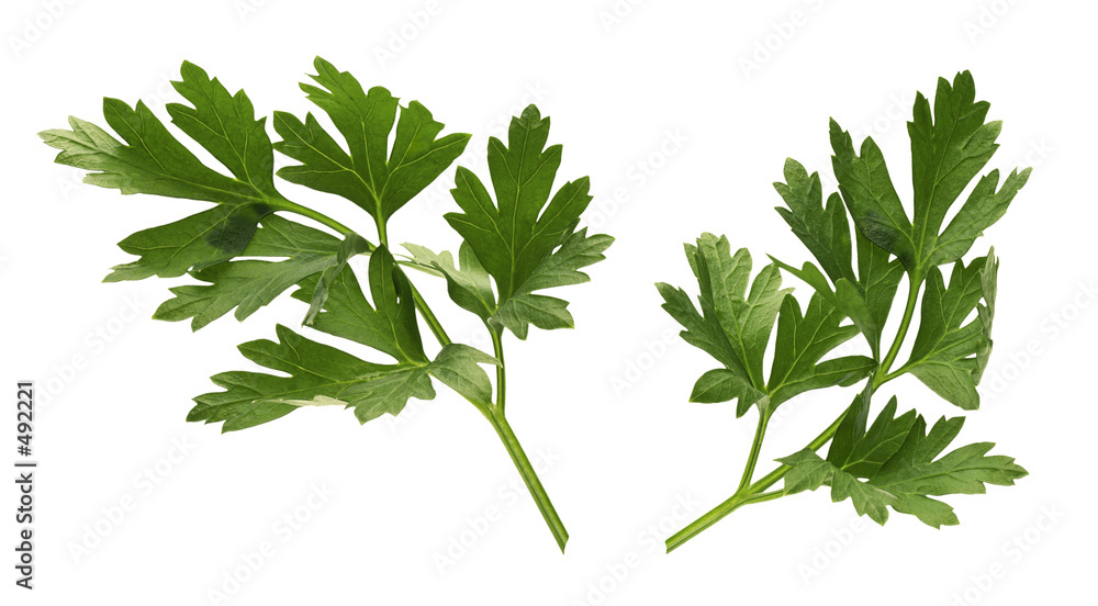 parsley