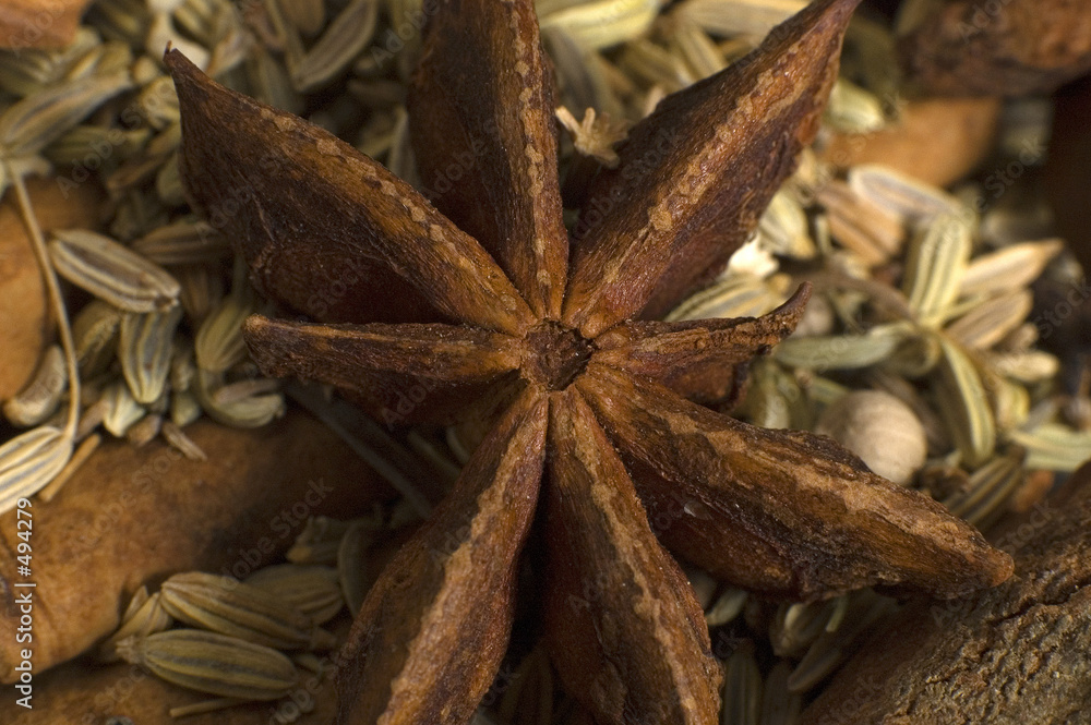 star anise star anise