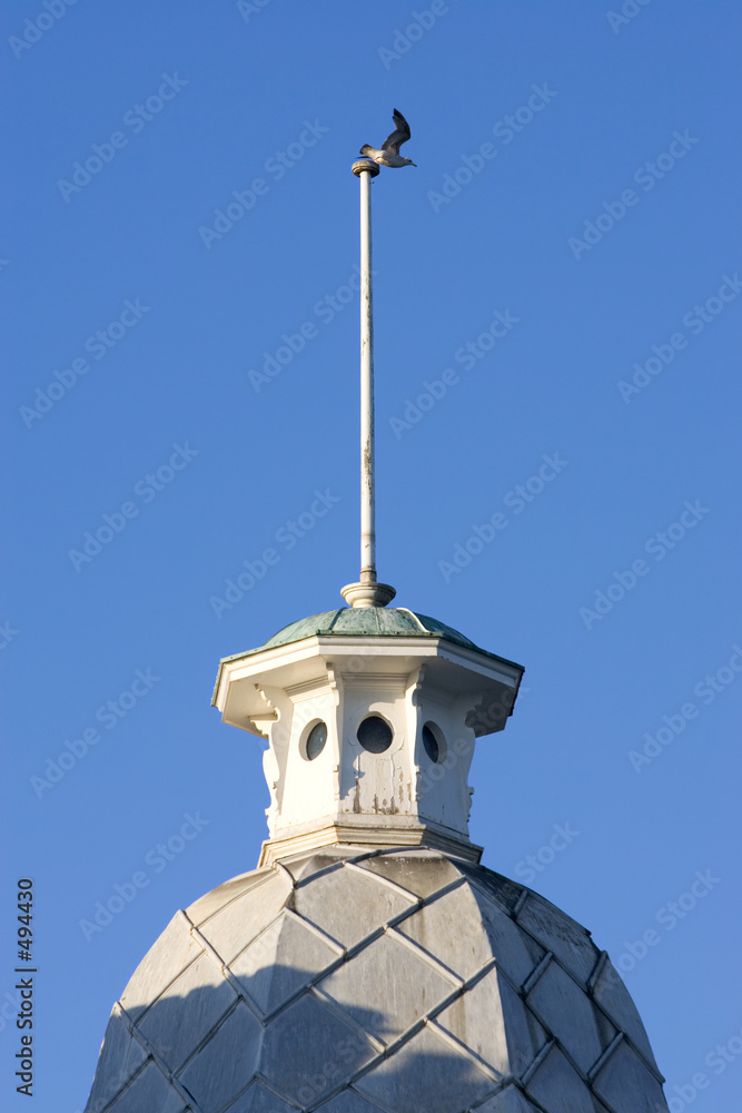 seagull flying off the steeple of an old building in weymouth, s