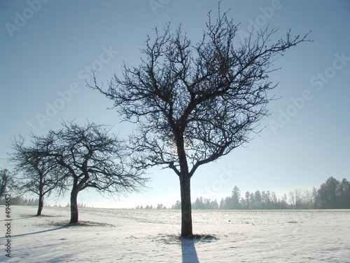 winter - 2