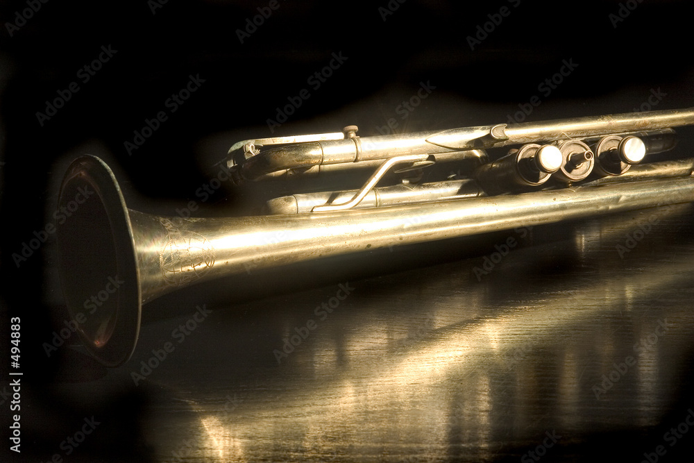 Naklejka premium old trump 1