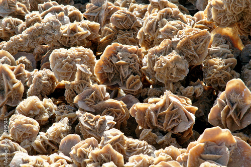 Quadro su tela roses des sables
