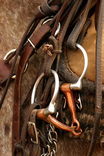 saddle gear