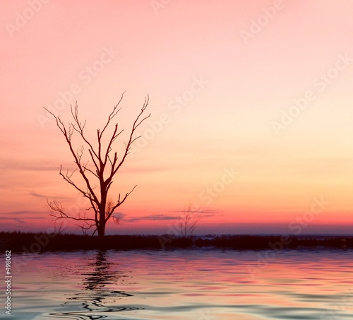 pink sunrise with lonely tree