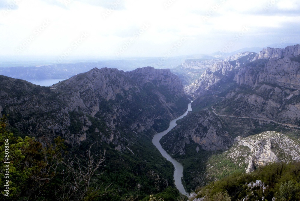 Naklejka premium wildnis