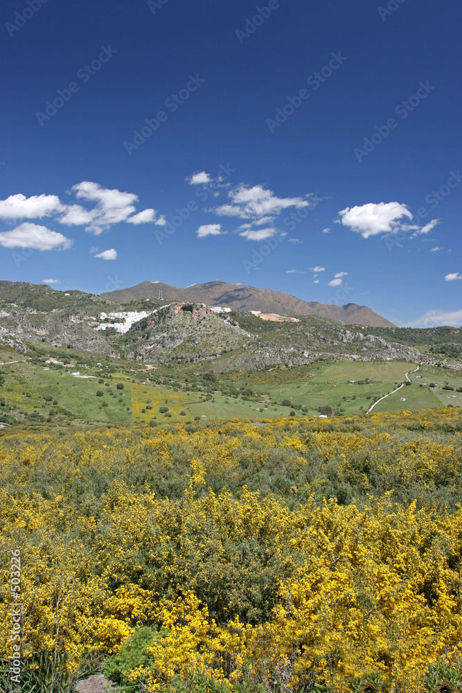 casares pueblo nestled in mountains in the distance in spain