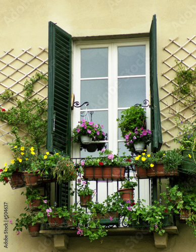 blumenfenster