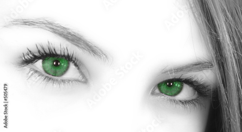 Obraz na plátně green eyes