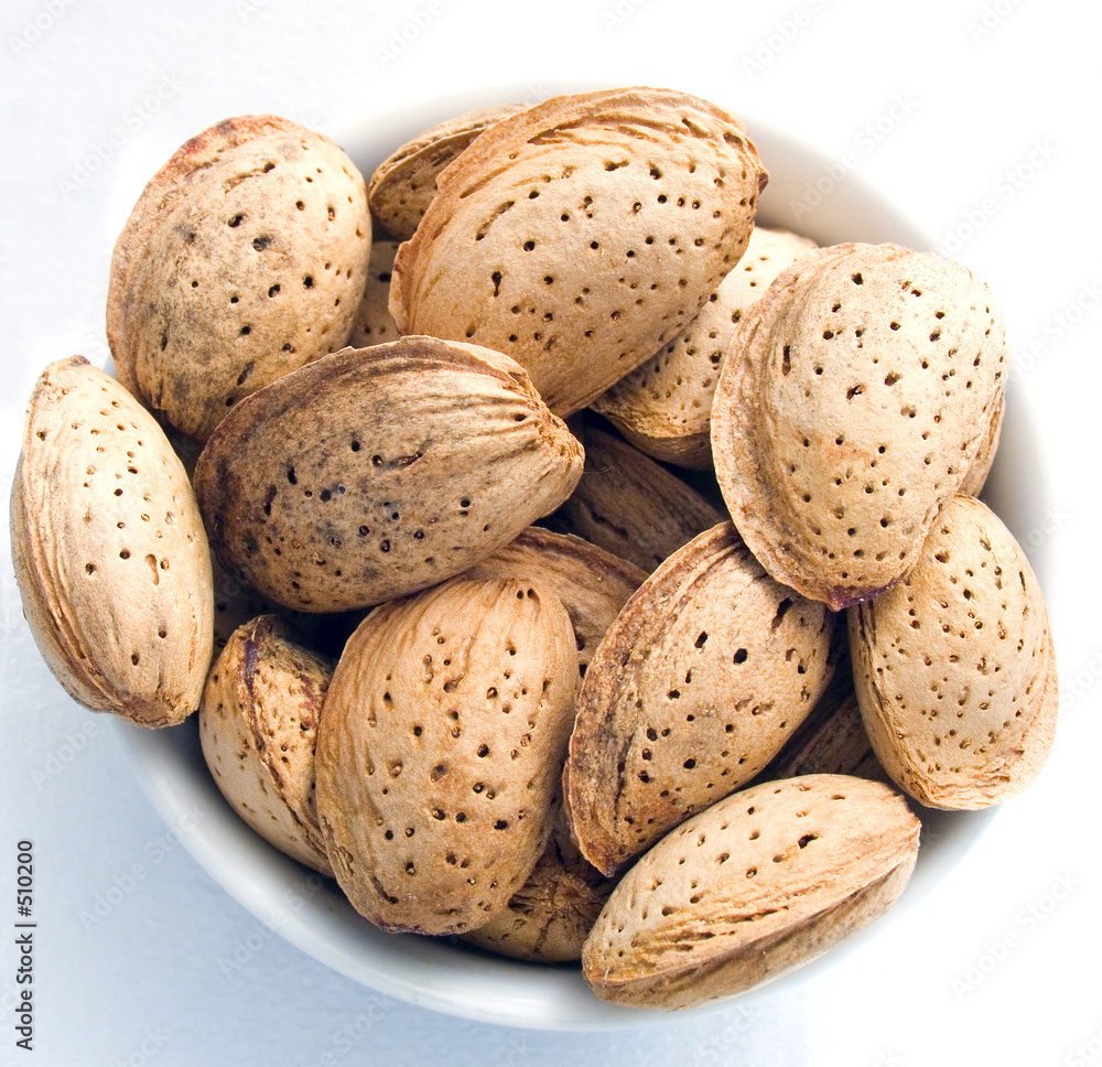 nuts of almonds nuts of almonds