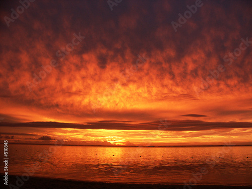 ciel flamboyant 02