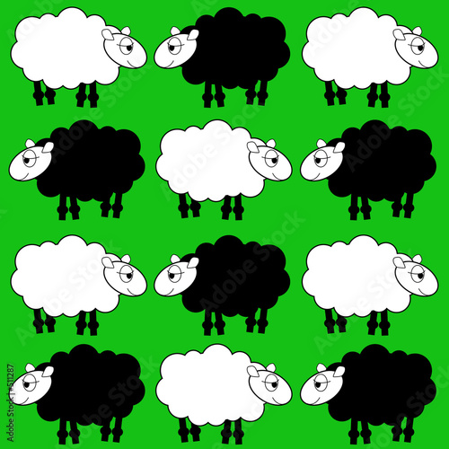 sheep
