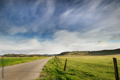 country road: landscape