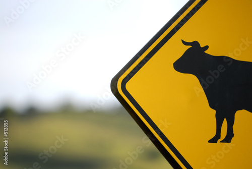 cow sign -- no bull!!