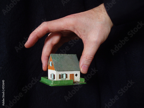 hand and house 1