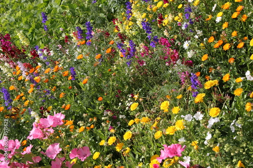 streublumenwiese