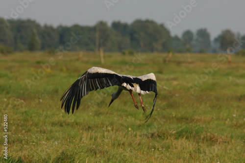 überflug photo