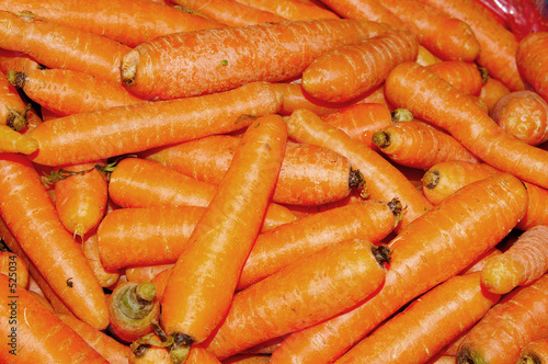 carottes 1