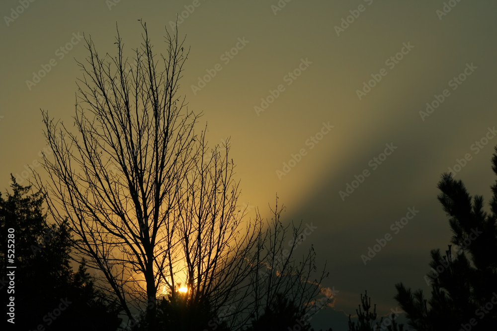 Fototapeta premium nebraska sunrise