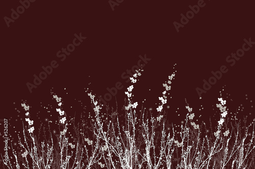 flower abstract