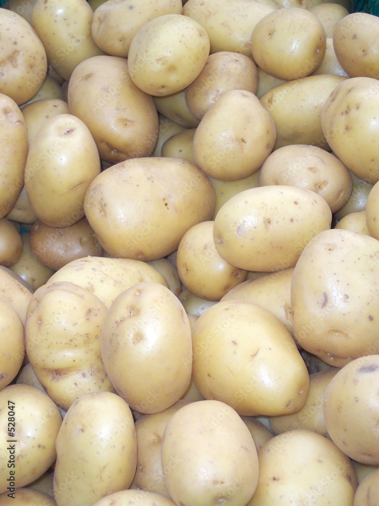 patates patates