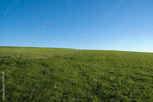 blue sky, green grass