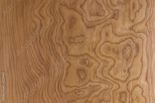 maple panel