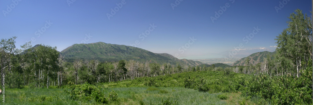 alpine loop meadow