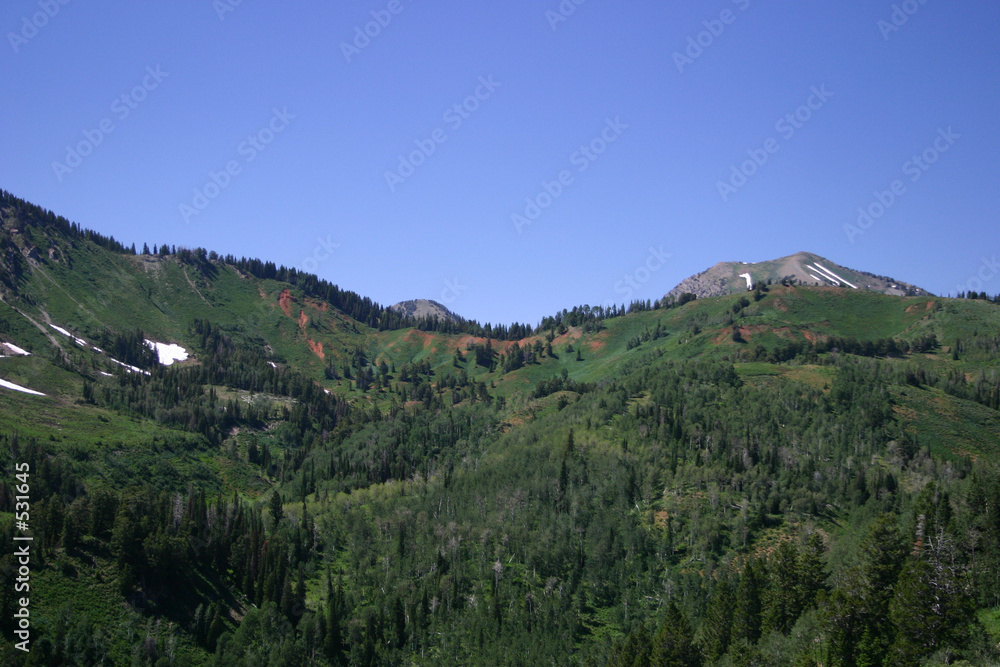 alpine hillsideq