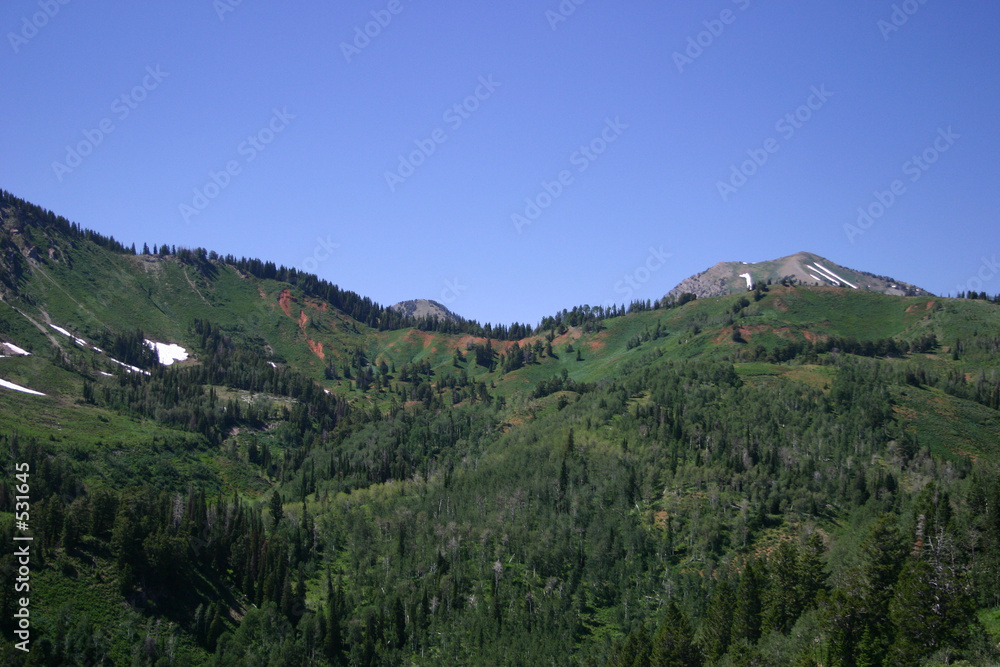 alpine hillsideq alpine hillsideq