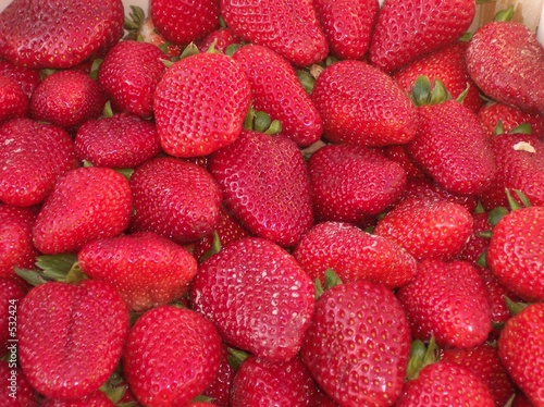 huuuum les belles fraises