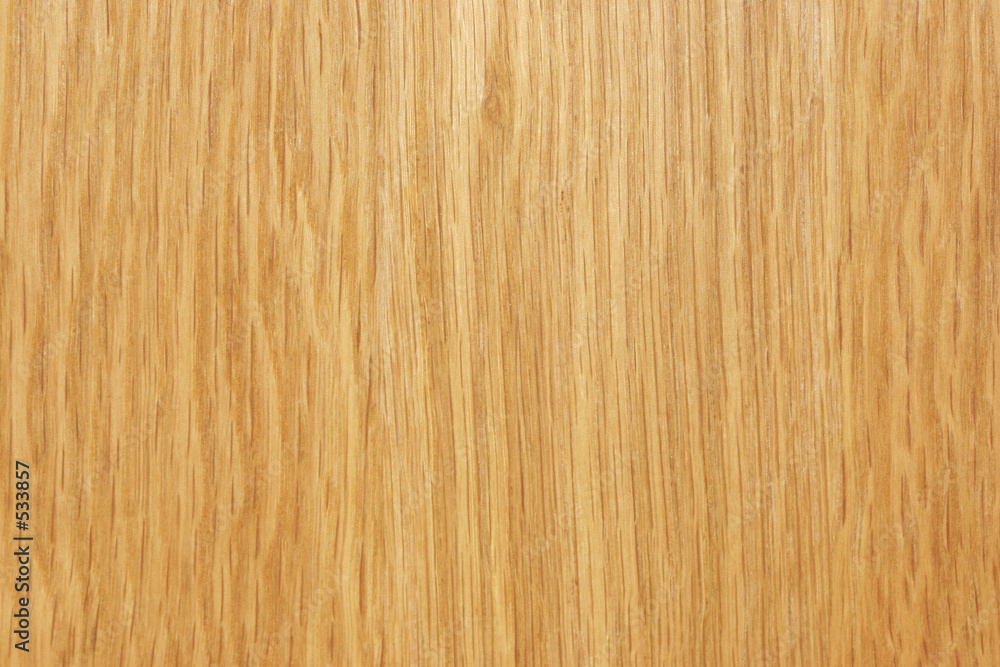 birch texture birch texture