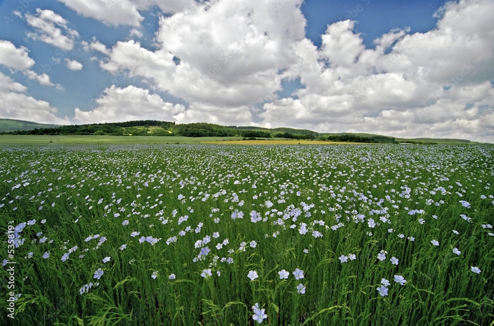 landscape with agriculture field, sky and clouds landscape with agriculture field, sky and clouds
