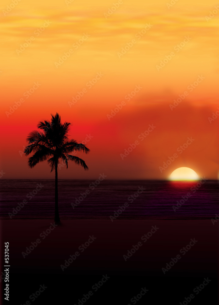 palm against a setting sun..