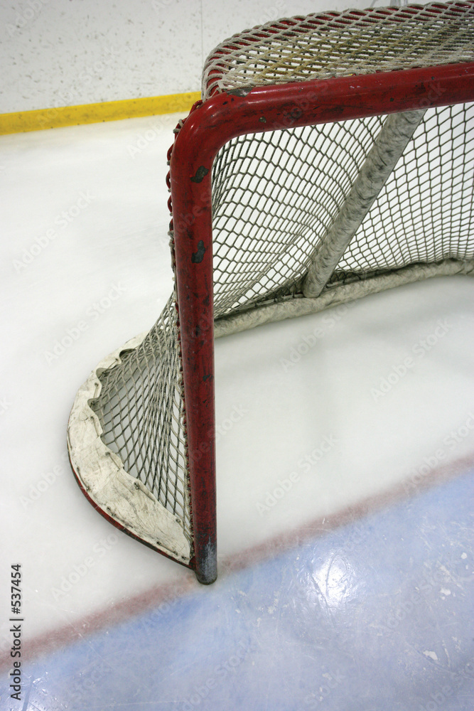Fototapeta premium hockey net