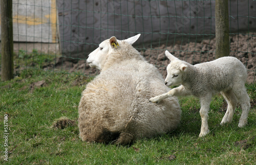 get up mom! photo