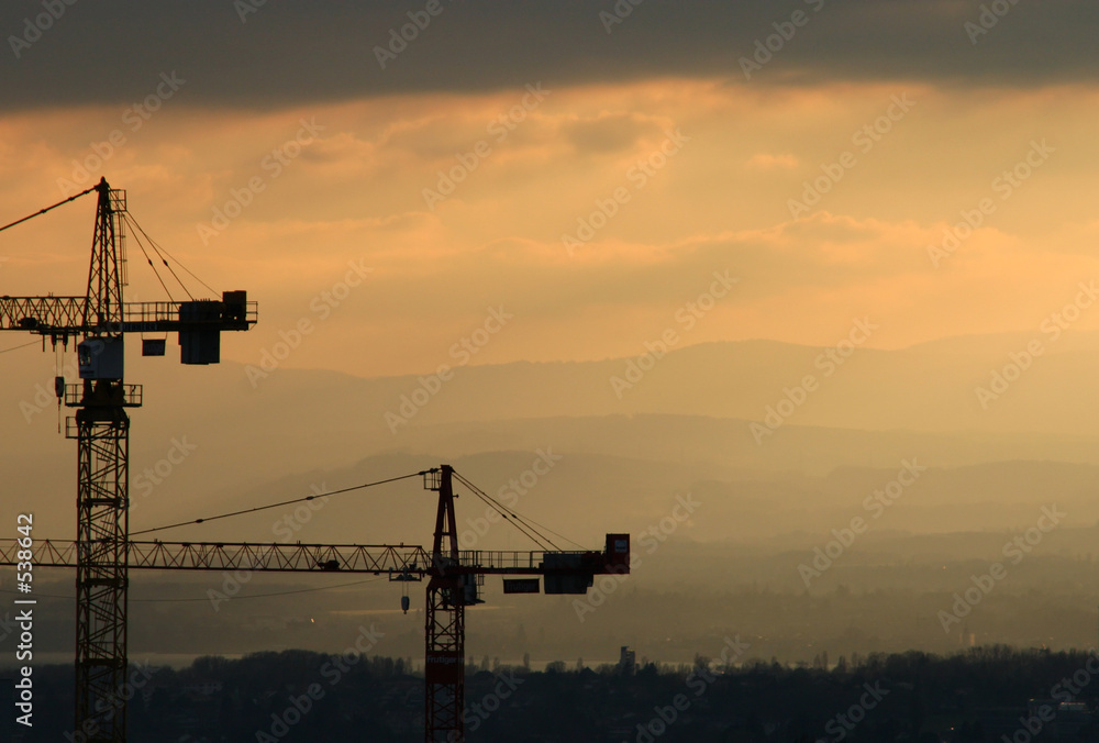 cranes in the sunset