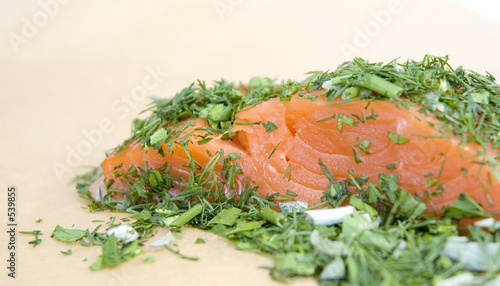 Φωτογραφία raw salmon